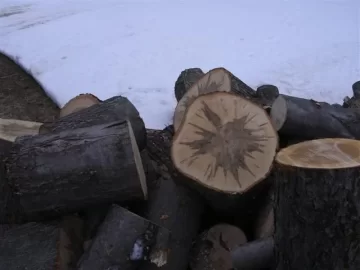 [Hearth.com] Little help on what type of wood this is?