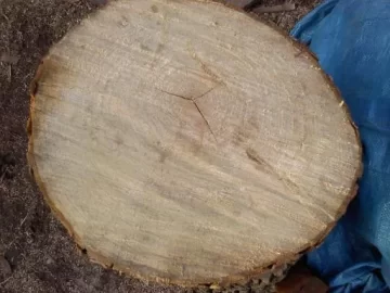[Hearth.com] Wood I.D. help, PLEASE