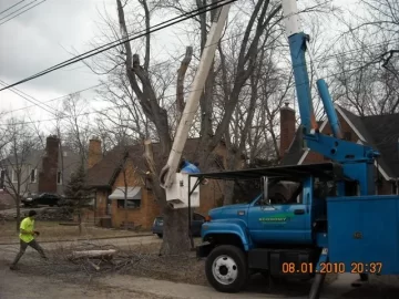 [Hearth.com] Goodbye yard tree, hello firewood. What a deal!
