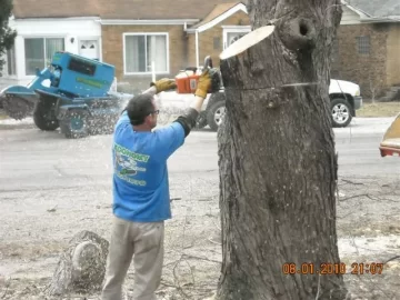 [Hearth.com] Goodbye yard tree, hello firewood. What a deal!
