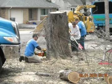 [Hearth.com] Goodbye yard tree, hello firewood. What a deal!