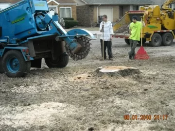 [Hearth.com] Goodbye yard tree, hello firewood. What a deal!