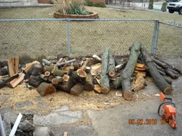 [Hearth.com] Goodbye yard tree, hello firewood. What a deal!