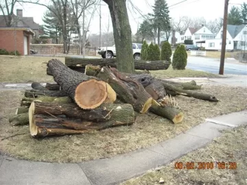 [Hearth.com] Goodbye yard tree, hello firewood. What a deal!
