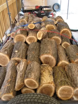[Hearth.com] Another load of elm
