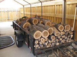 Another load of elm