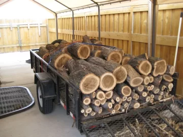 [Hearth.com] Another load of elm