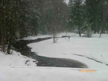 [Hearth.com] The Brook
