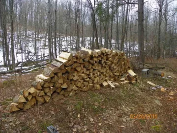 [Hearth.com] 3-20-2010