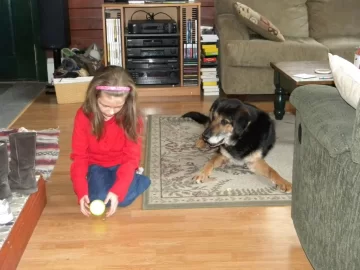 [Hearth.com] Had to Put my Dog to Sleep