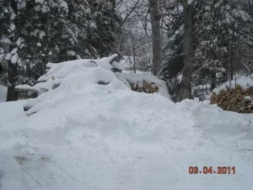 [Hearth.com] Snow,Snow,Snow!