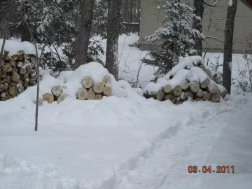 [Hearth.com] Snow,Snow,Snow!