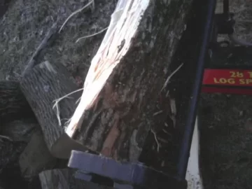 [Hearth.com] Is this a nice piece of Ash or what?