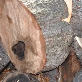 [Hearth.com] Wood ID and seasoning time