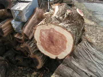 [Hearth.com] Eastern Red Cedar/Juniper- CL Score this morning!