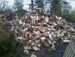 How's your wood supply for next winter?