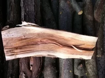[Hearth.com] ID please