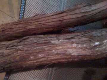 [Hearth.com] Wood ID.... OK Vine ID