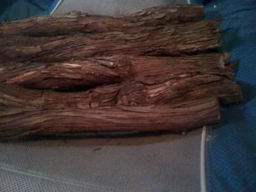 [Hearth.com] Wood ID.... OK Vine ID
