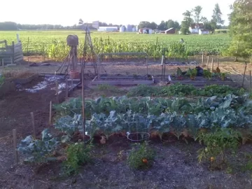 [Hearth.com] Veggie Gardens