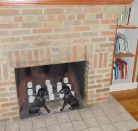 [Hearth.com] Was all decided, until I came here...