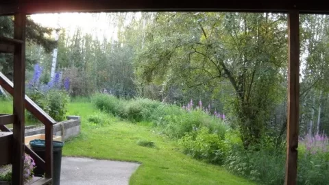 [Hearth.com] Summer project - Wood shed / lean to- ideas?