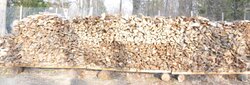 My wood pile for next year