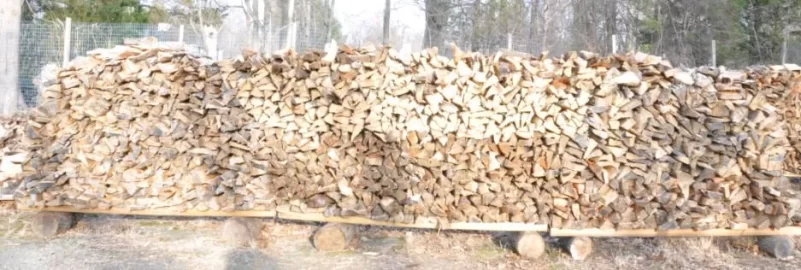 [Hearth.com] My wood pile for next year