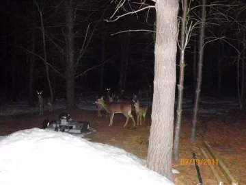 [Hearth.com] Outside Tonight