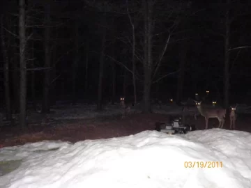 [Hearth.com] Outside Tonight