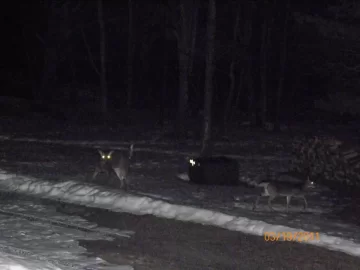 [Hearth.com] Outside Tonight