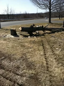 [Hearth.com] First day working with new trailer(pics)