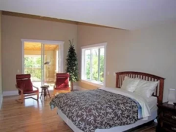 [Hearth.com] Stove or Fireplace OR BOTH ?