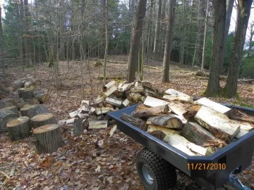 [Hearth.com] Cleaning Up the Woods/Update