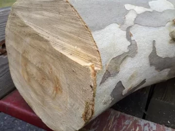 [Hearth.com] 2 different wood ID's please.