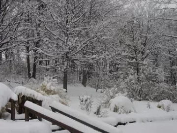[Hearth.com] Welcome spring?????