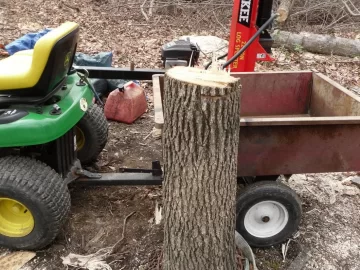 [Hearth.com] Gum Tree