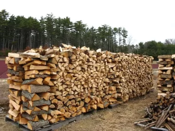 [Hearth.com] Been stacking and moving lots of wood over past 3 days and need wood ID please..