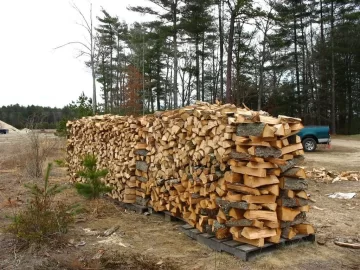[Hearth.com] Been stacking and moving lots of wood over past 3 days and need wood ID please..