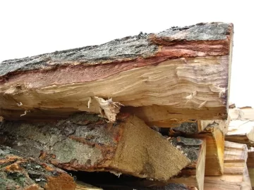 [Hearth.com] Been stacking and moving lots of wood over past 3 days and need wood ID please..