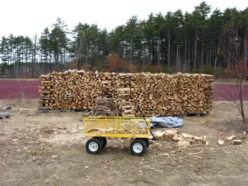 [Hearth.com] Been stacking and moving lots of wood over past 3 days and need wood ID please..