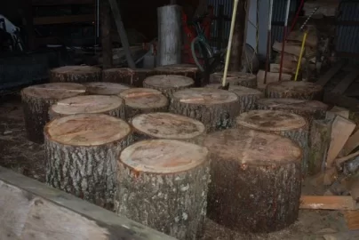 [Hearth.com] Solar wanted.... TIMBER!