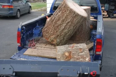 [Hearth.com] Solar wanted.... TIMBER!