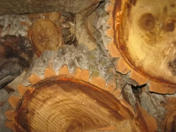 [Hearth.com] wood ID help