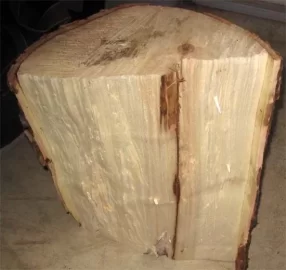 [Hearth.com] Wood ID - Please!