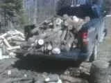 [Hearth.com] Back Into The Woods Today