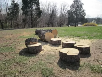 [Hearth.com] My Scrounge Score