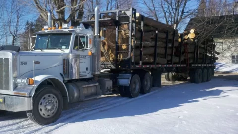 [Hearth.com] Load of logs showed up today
