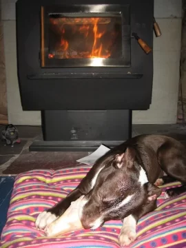 [Hearth.com] Anyone ever run their BK King model at 100% highest burn the entire time ?
