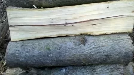 [Hearth.com] This one has me stumped